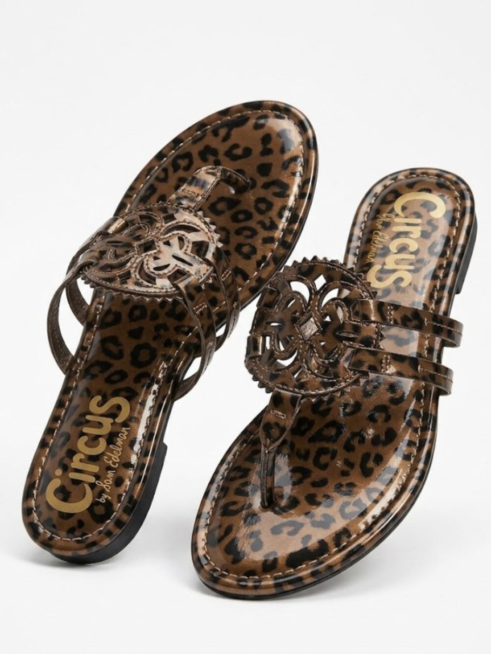 Circus Sam Edelman Leopard Sandals 6.5 Thong Flat Medallion Animal Print Canyon